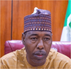 His Excellency Prof Babagana Zulum